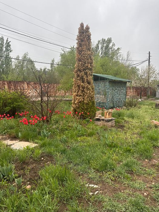 Продам дачу, срочно.