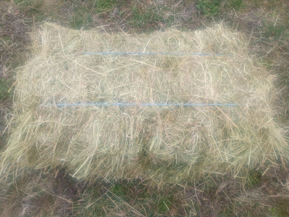 Vind fîn la baloti sau din sācastru