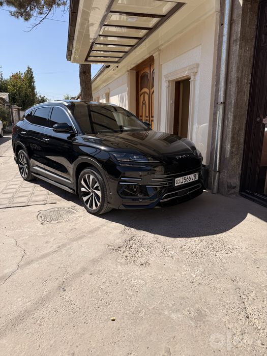 Byd chempion Gibrid 150 tali Full