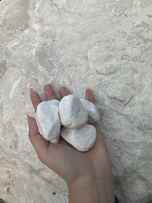 Крошка Галька Блужник