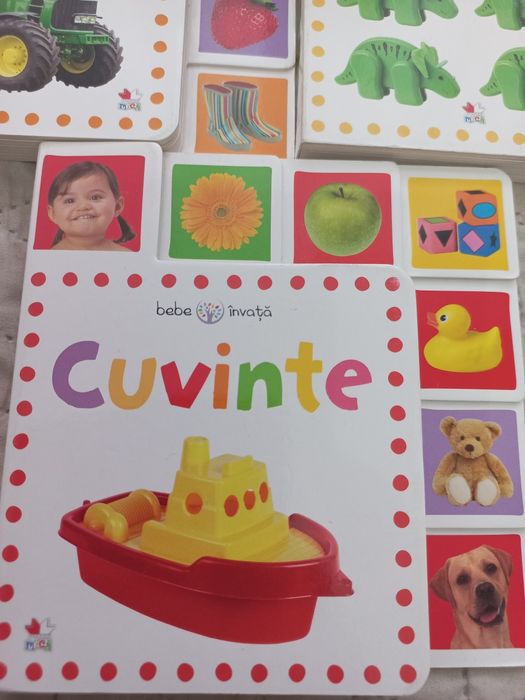 Carti cartonate copii