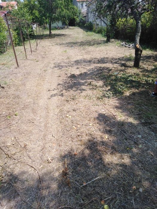 РАЗУМНИ ЦЕНИ ЗА почистване на дворове /дворни места/,