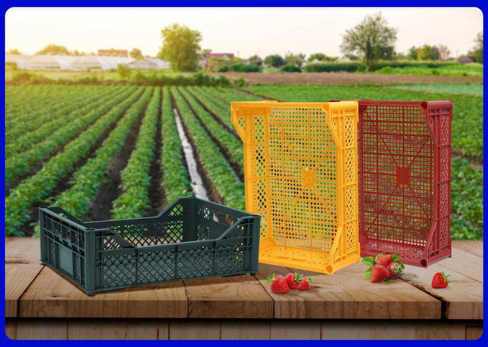 Ящик 600x400x250 мм для крупных овощей | прочный пластиковый