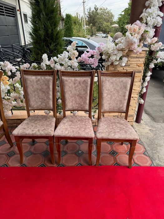 Prakat stol stul shirma zontik Пракат стол стул Naves samavar 24/7