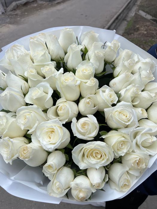 Розы 55 штук дешево