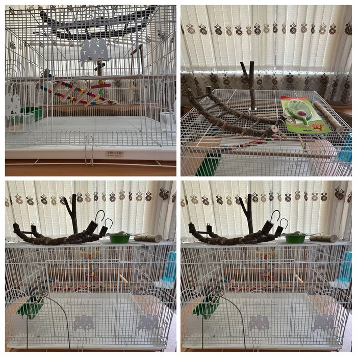 Игрушки для попугаев