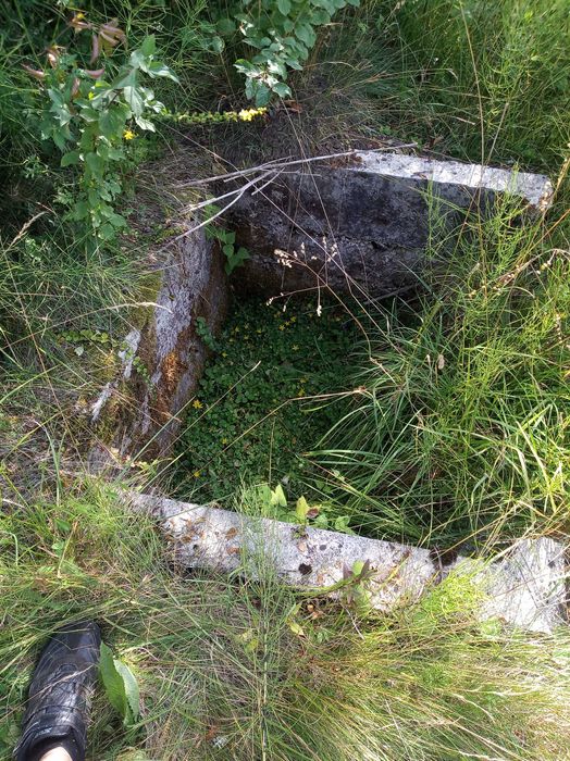 Продава се Парцел в с. Ялботина, Област София-област - 1000 кв.м за 15 €/кв.м - Снимка #5