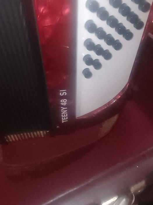 De vânzare Walther Teeny 48 basi