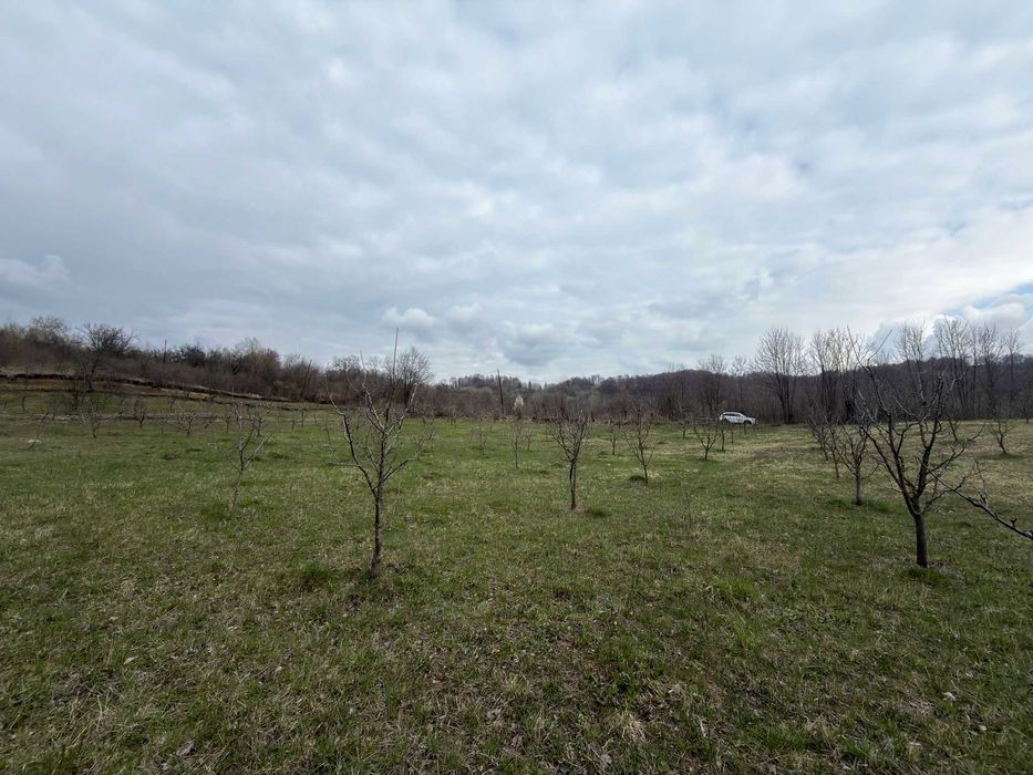 Teren / grădină de vânzare în Barbuletu, judetul Dambovita –  8055 mp