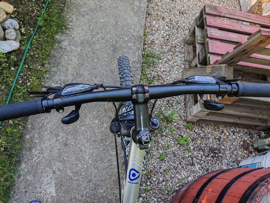 Rock Rider roti de 26