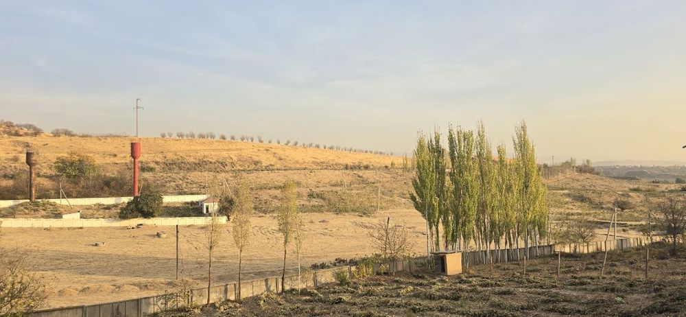 Паркент. Ферма КРС. 15 га. Доимий.