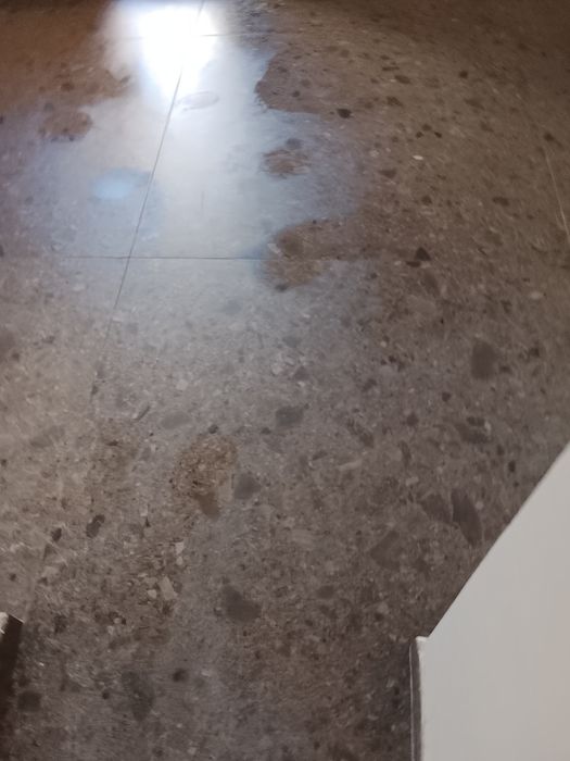 Професионално почистване на домове