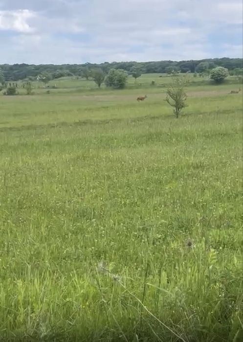 Teren in Sighisoara zona Angofa