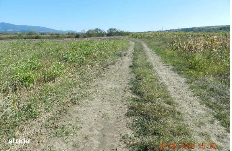 Teren extravilan arabil, situat in Oravita, Jud Caras-Severin