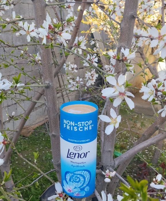 Orginal Germaniya 
Kirlaringiz uchun uzoq