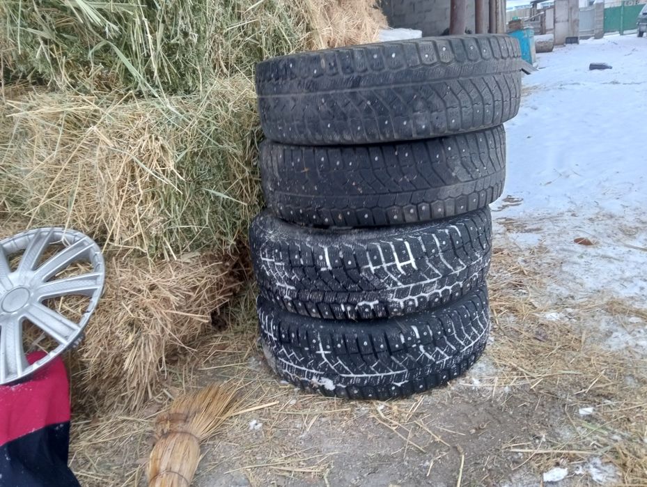 Покрышка шипованный