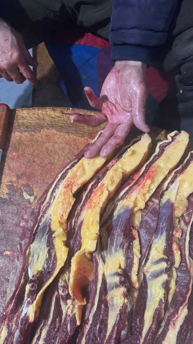 Продам мясо конины