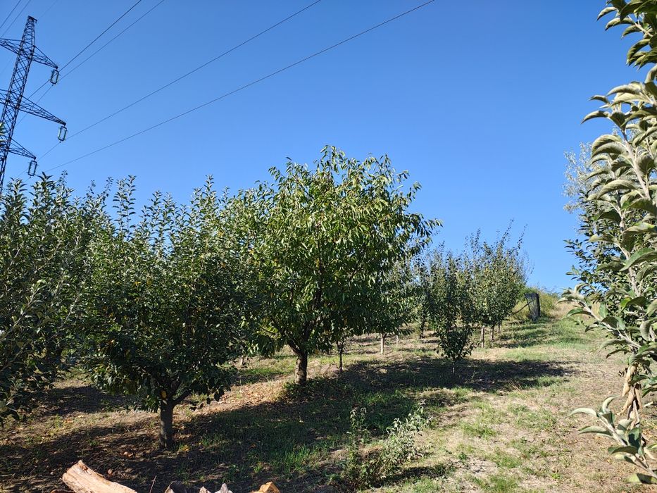 Casa de vânzare în Carlig.