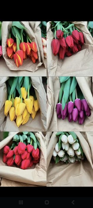 Продаём тюльпаны отличного качество!!!