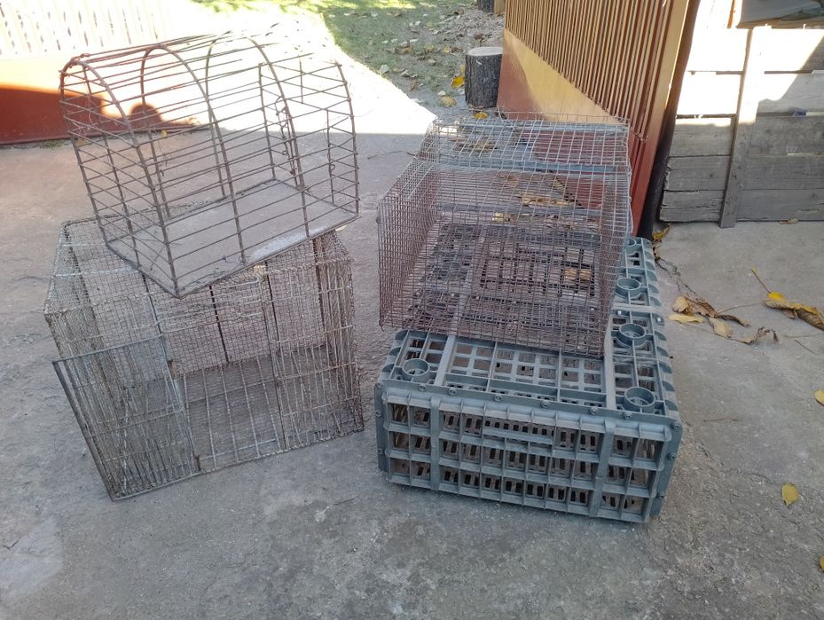 Cuști transport păsări