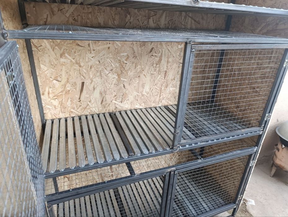 Quyon qafas sotiladi