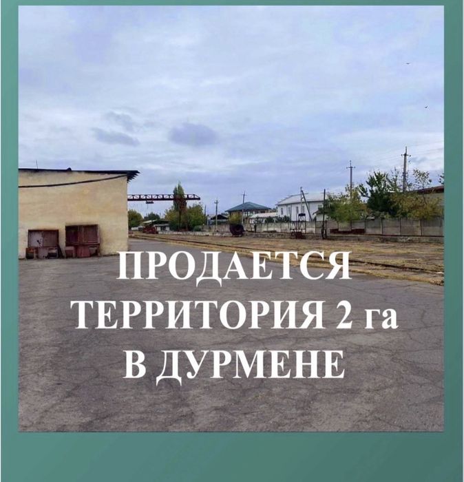 Думень 195 соток