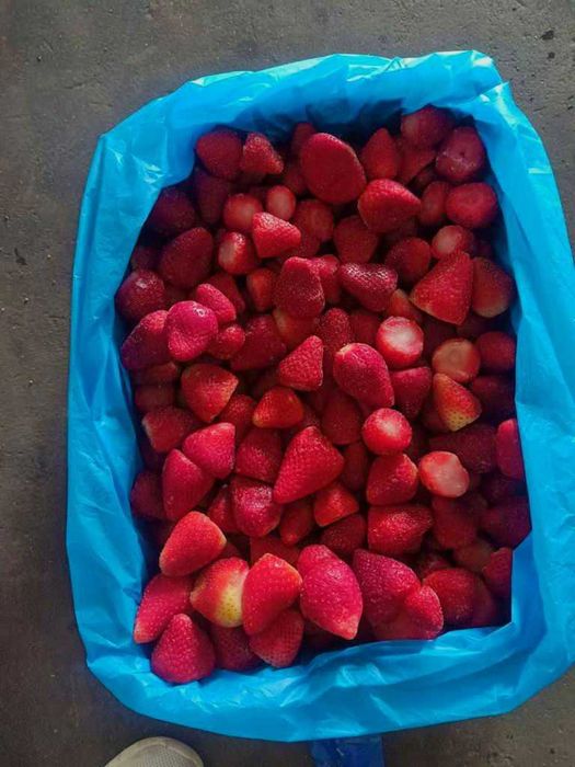 Замороженные ягоды, овощи, экзотические фрукты, фруктовые пюре: 10 000 ...