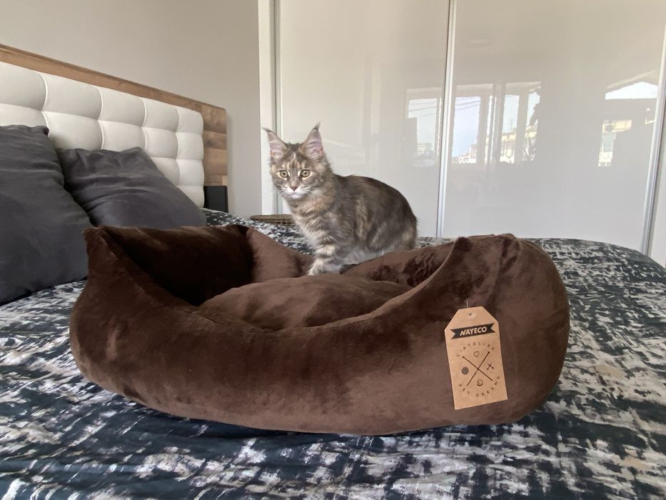 Легло с плюш за животни