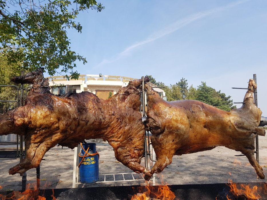 Protap rotisor animale - vitel purcei miei nunti botezuri evenimente