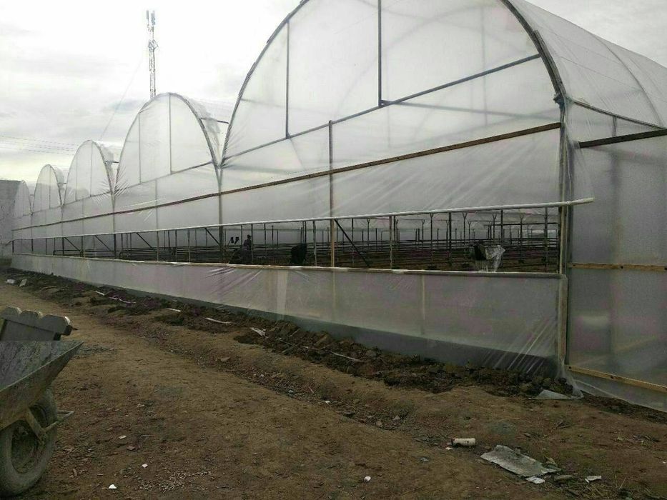 Issiqxona kantenerdan tom yopish noves