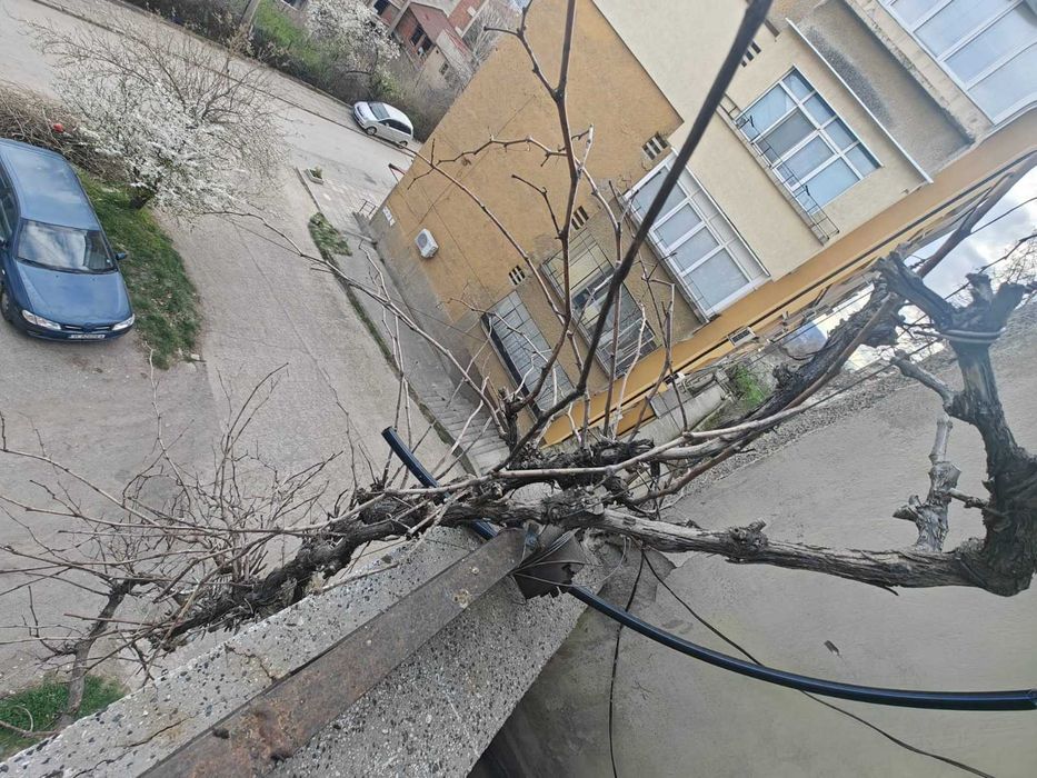 Реална стойност – дом