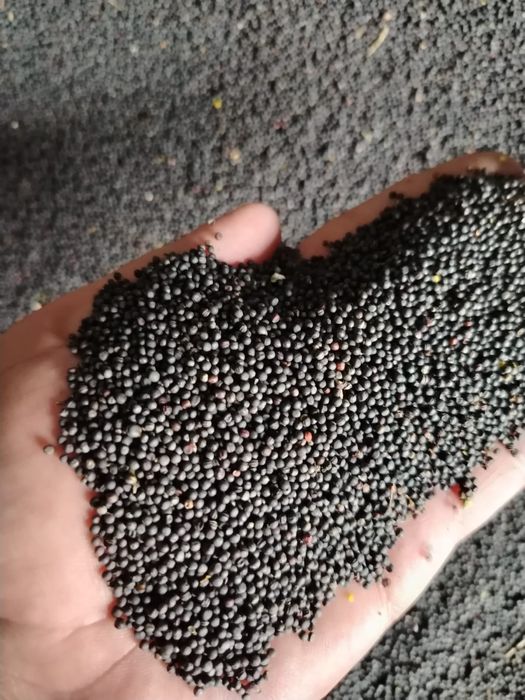 Семечки.Платный чат! Все корма.