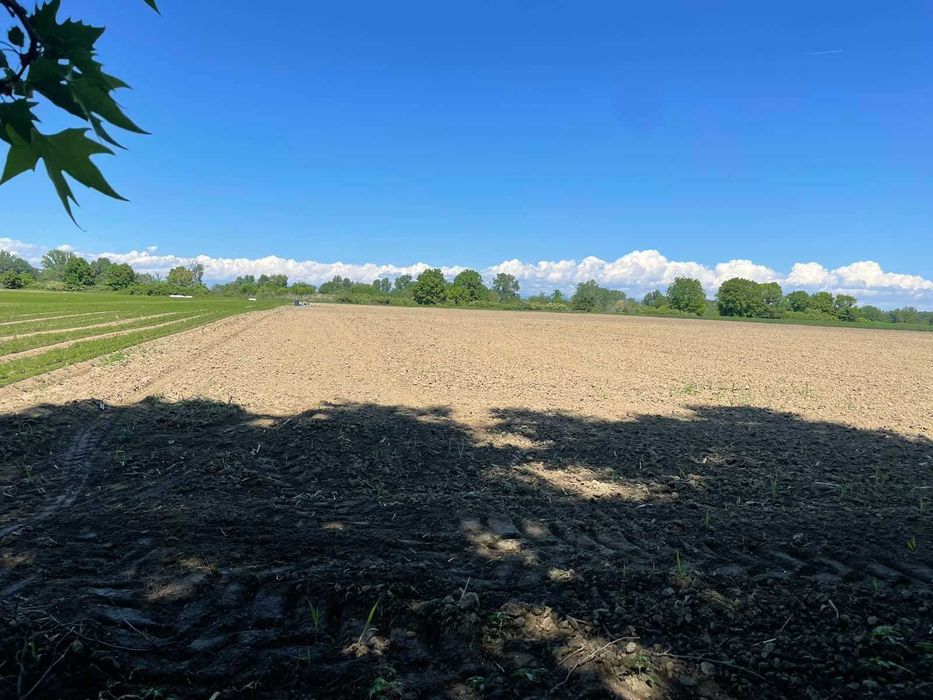 Продава се Парцел в с. Ягодово, Област Пловдив - 7996 кв.м за 15 €/кв.м - Снимка #2