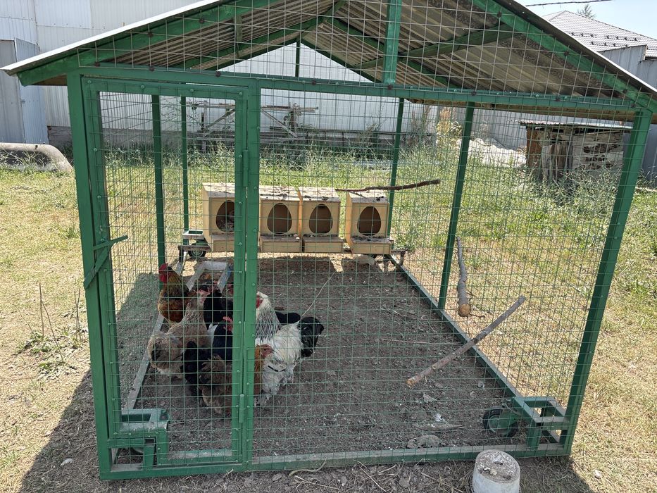 Продам летний курятник с поилкой и с домиками!