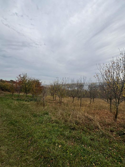 Teren intravilan de vânzare sat Comsesti, comuna Tureni, Jud Cluj