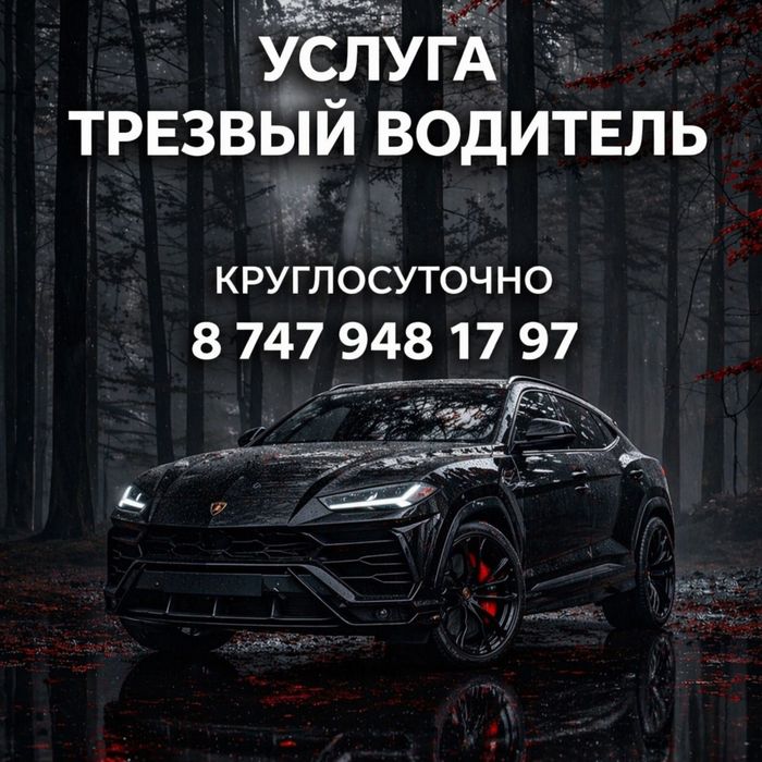 Трезвый Водитель