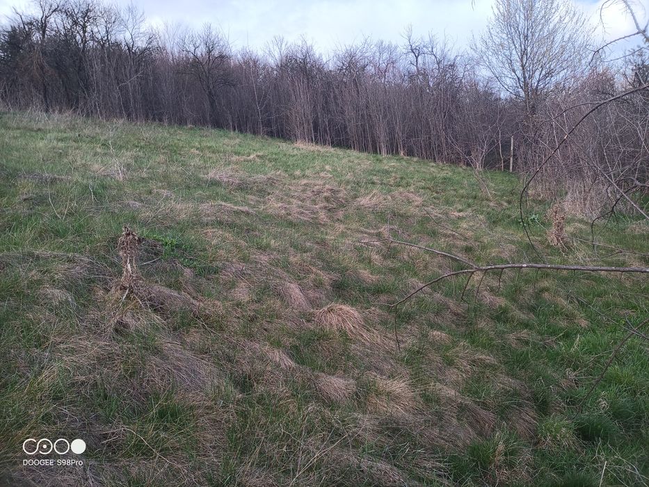 Продава се Парцел в с. Богданов дол, Област Перник - 823 кв.м за 13 €/кв.м - Снимка #1