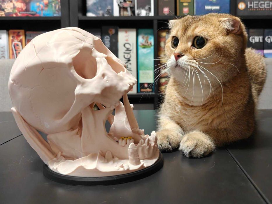 Dice Tower  кула за зарчета