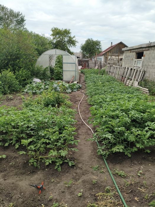 Продам дом за городом. Нечаевка