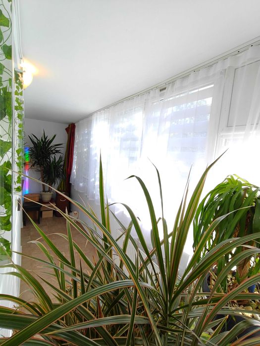 Apartament 2 camere  Colegiu National "Andrei Saguna"