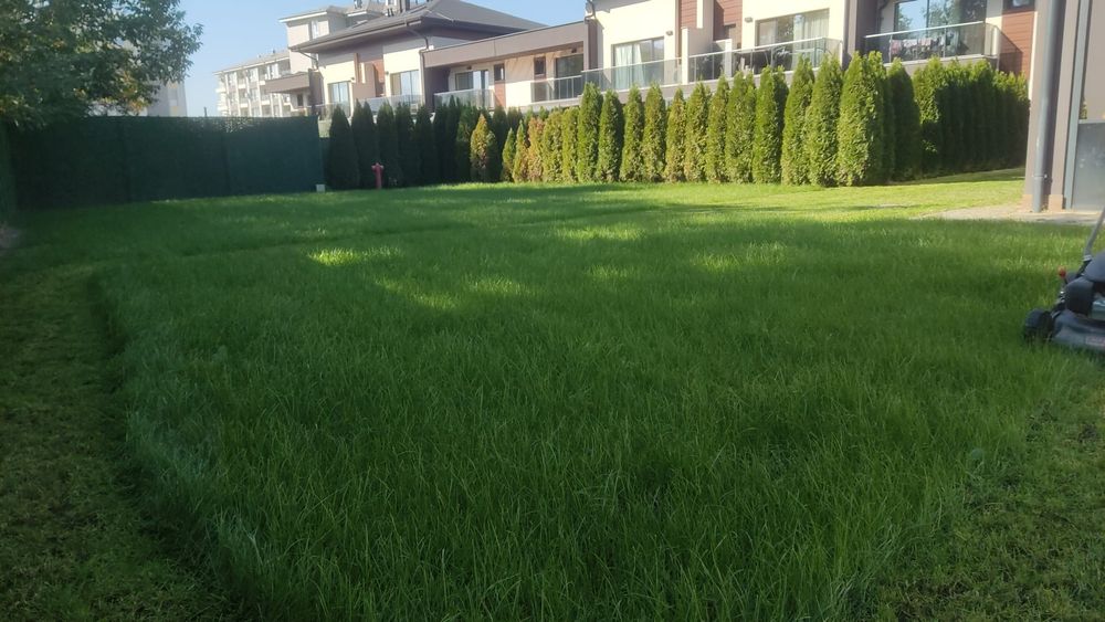 Озеленяване и поддръжка на дворове Пловдив