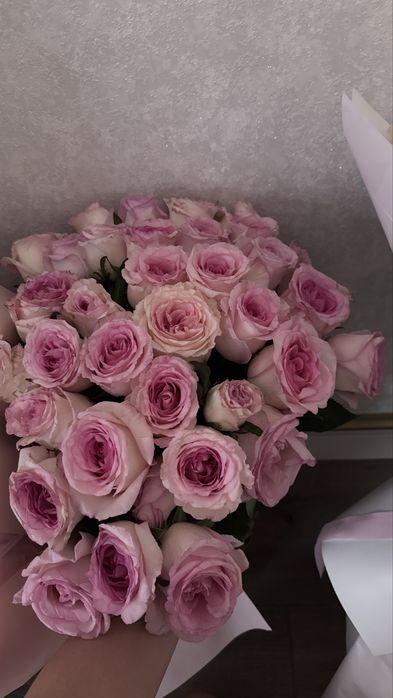 Цветы. Гулдер свежий