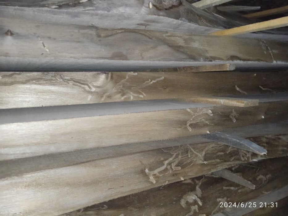 Бичени орехови янове