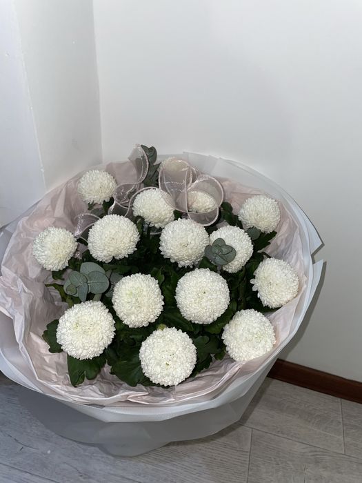 Гул сатылады Момоко