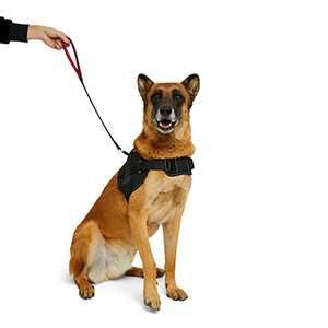 Zgarda lesa Pets at Home Short Traffic Dog Lead Black Large