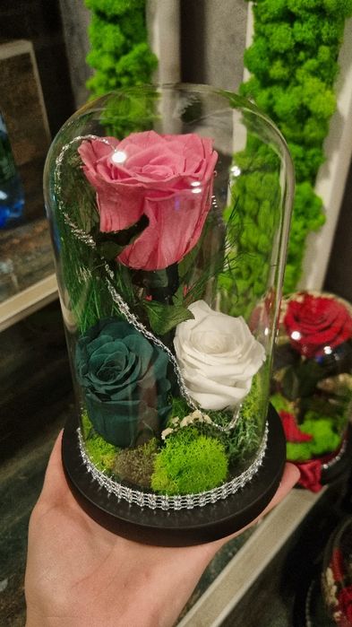 Trandafiri criogenați