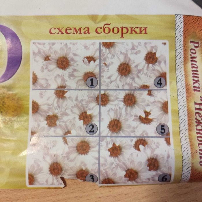 Фотообои бумажные Ромашки