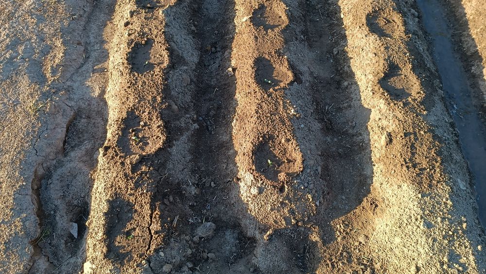 Продается дача 10 соток