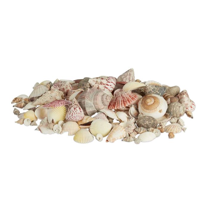 Set de Scoici si Melci de Mare pentru Decorare Artizanat Naturale 1kg