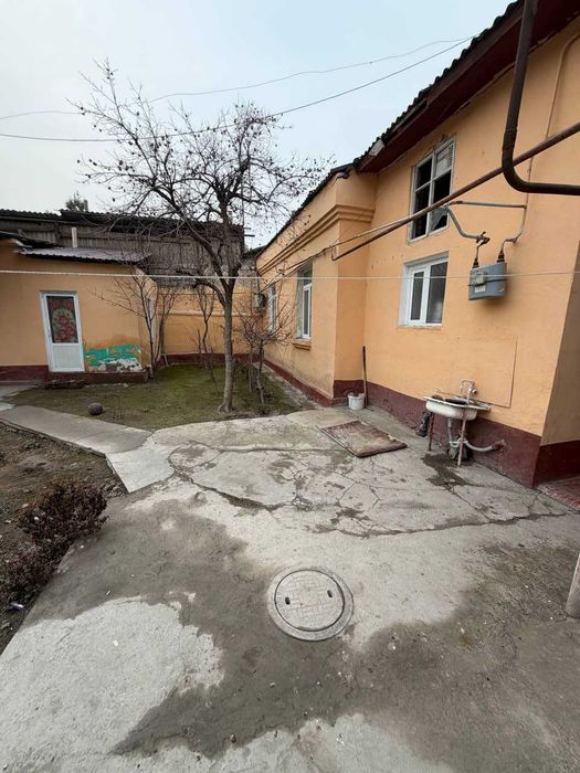 Широткада 6 сотихли ховли, 10 хонали